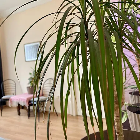 Terazije Square Lux *